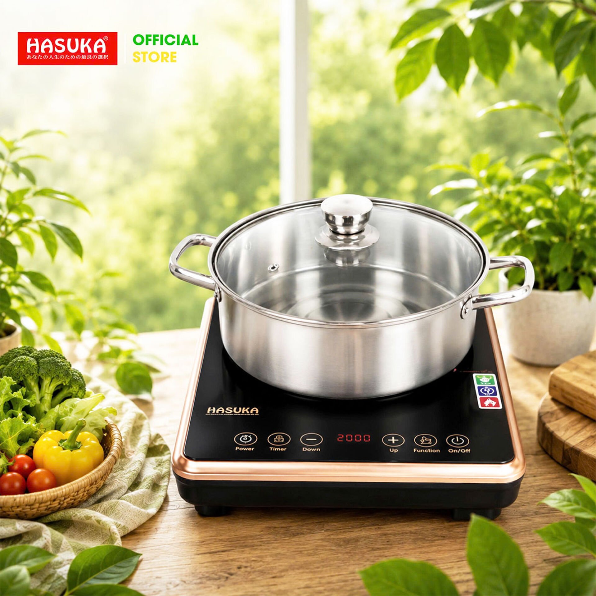 Bếp điện từ đơn Hasuka HSK-621